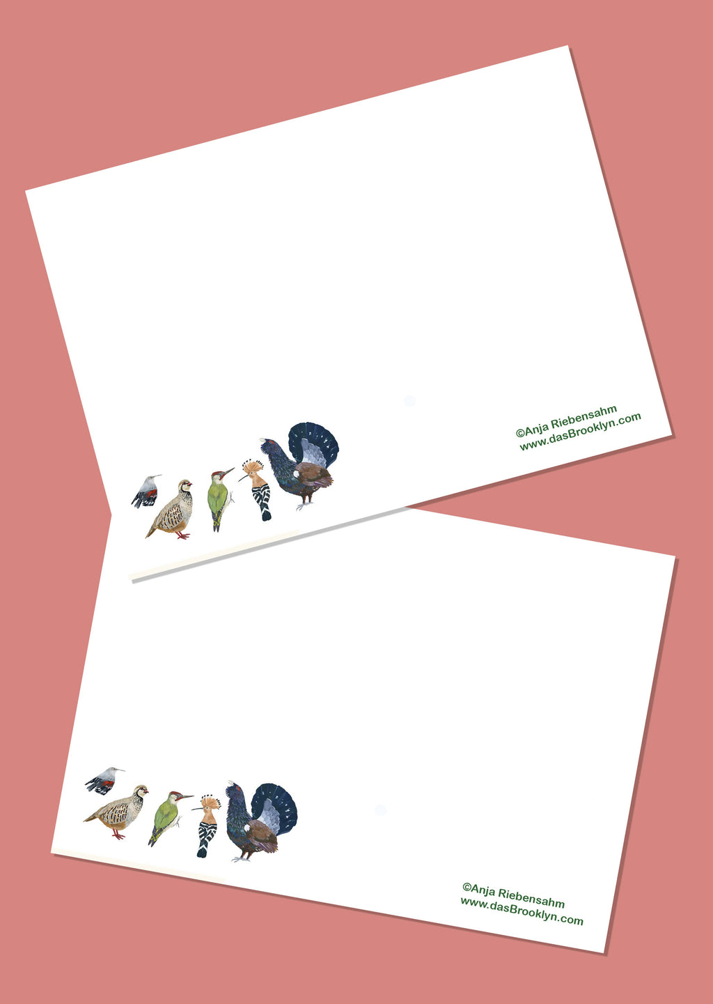 Postal - Gatos Reales