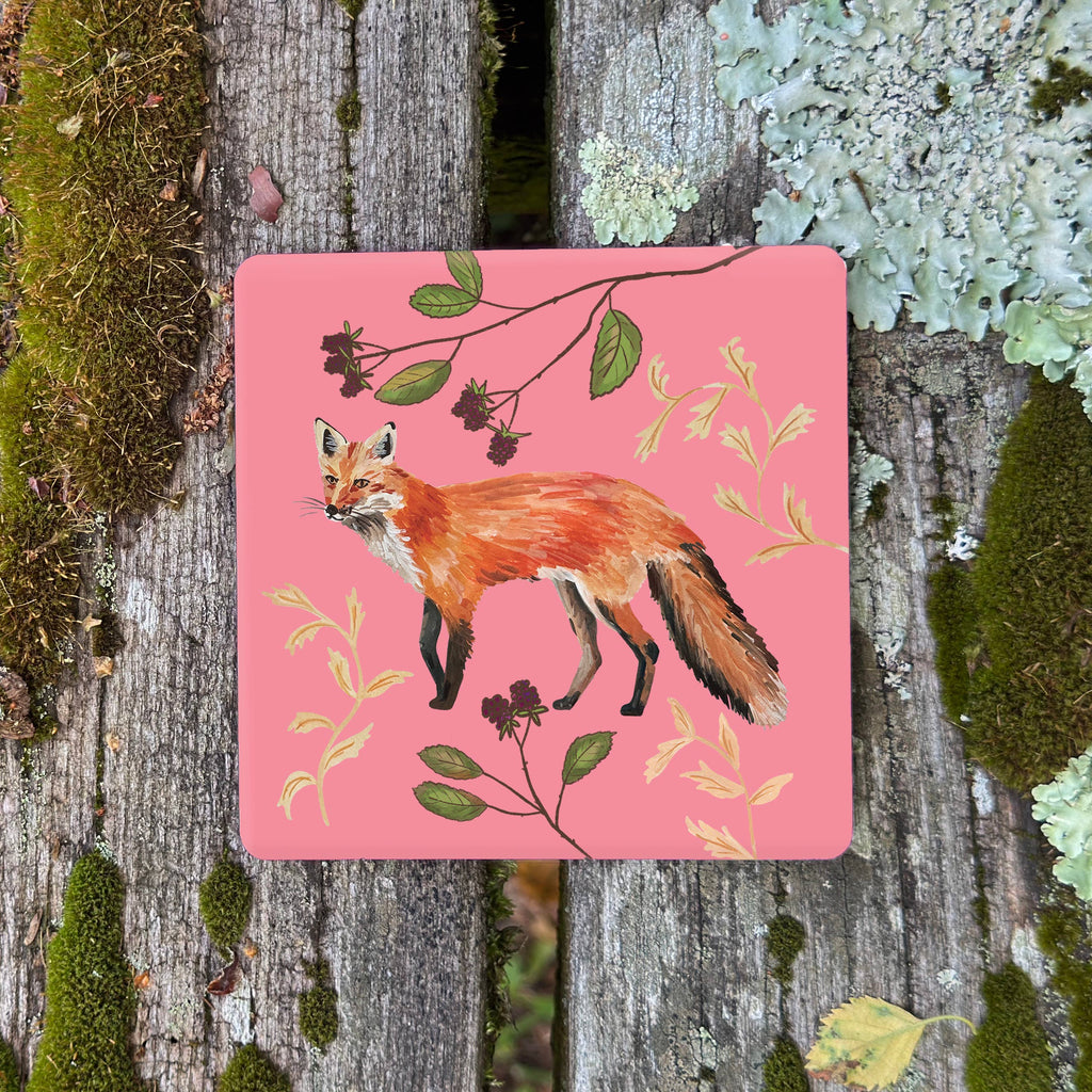 Posavasos - Zorros