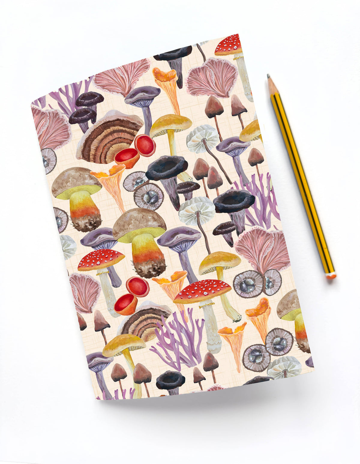 Cuaderno - Setas