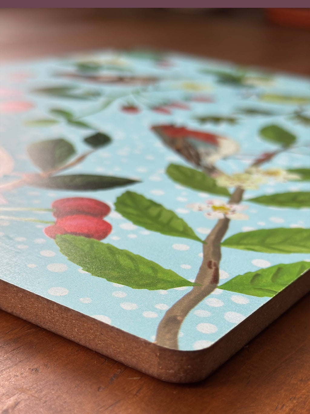 Tablemat - Aves cantoras europeas