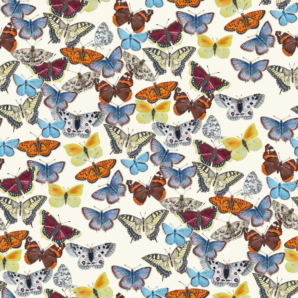 Cuaderno - Mariposas