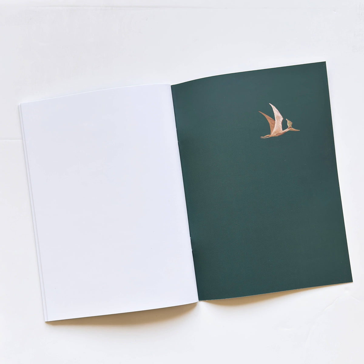 Cuaderno - Dinosaurios