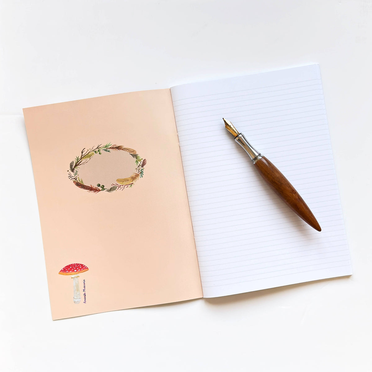 Cuaderno - Setas