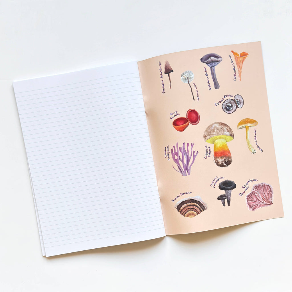 Cuaderno - Setas