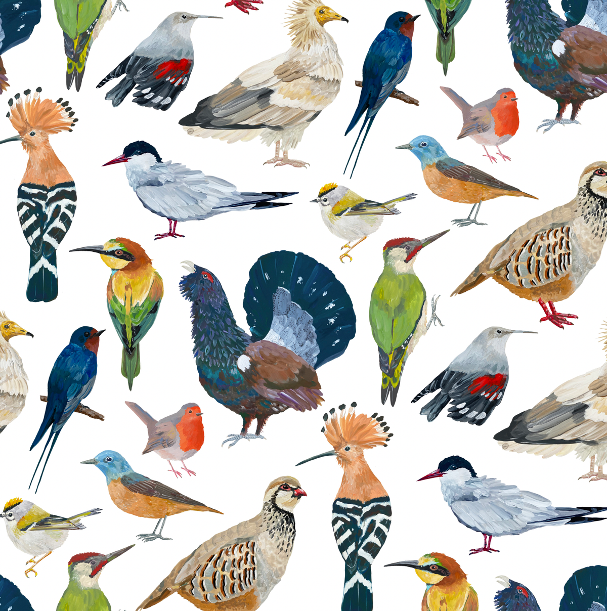 Cuaderno - Pájaros
