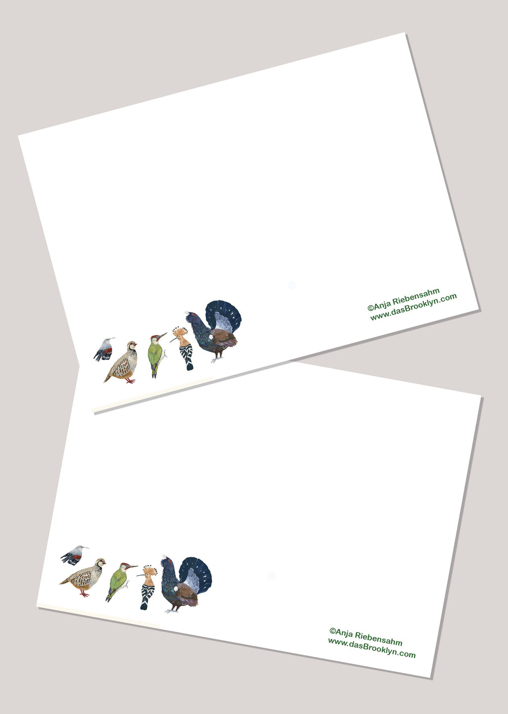 Postal - Perros Reales
