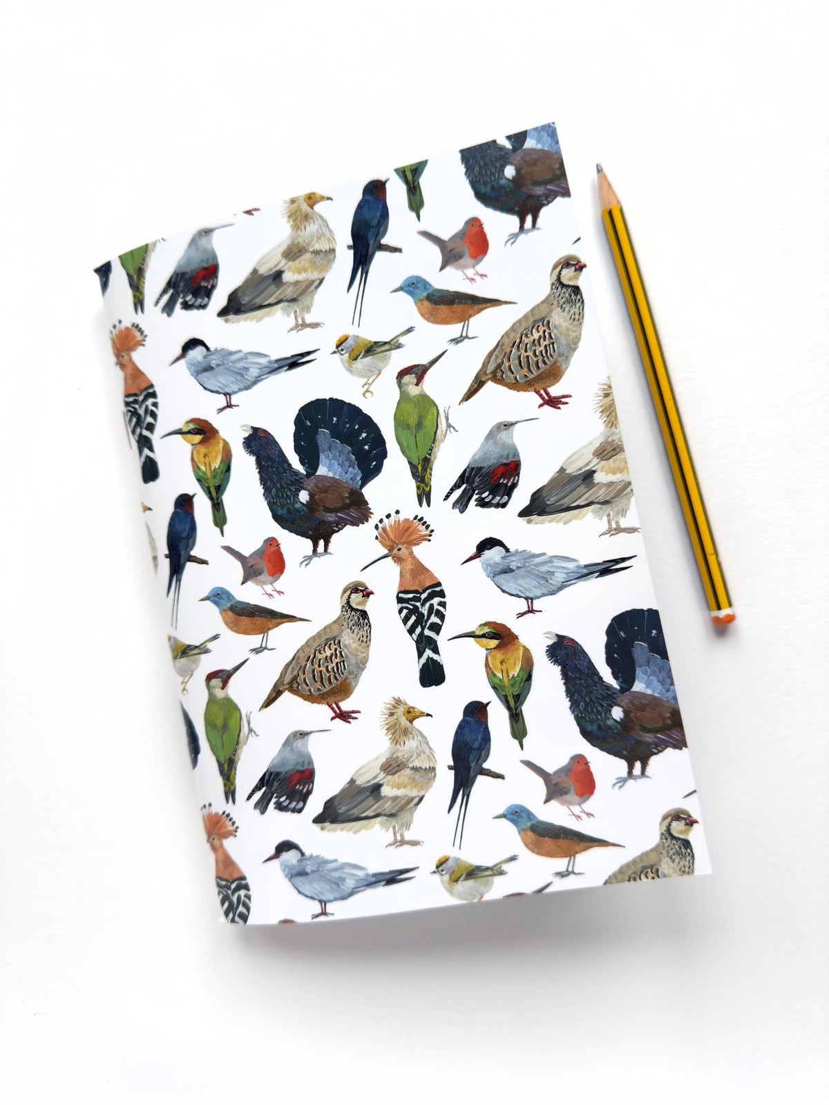Cuaderno - Pájaros